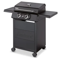 ENDERS Elektrogrill eCrave® 2