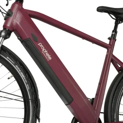 PROPHETE E-Bike Entdecker 2.3 Herren