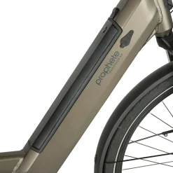 PROPHETE E-Bike Geniesser 3.3