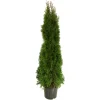Smaragd Thujen aus Österreich 125cm